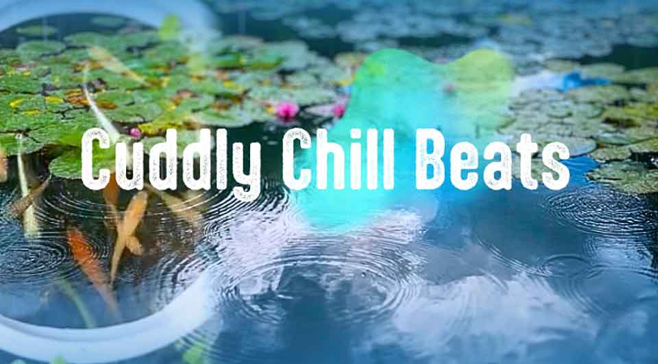 初夏の一雨、メダカの泳ぐ姿でホッと一息Cuddly Chill Beats